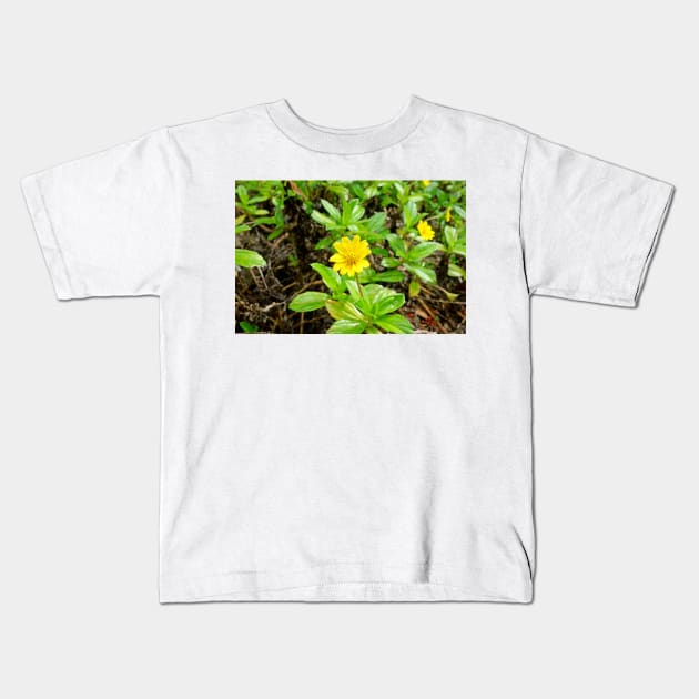 Iao Valley State Monument Study 14 Kids T-Shirt by bobmeyers